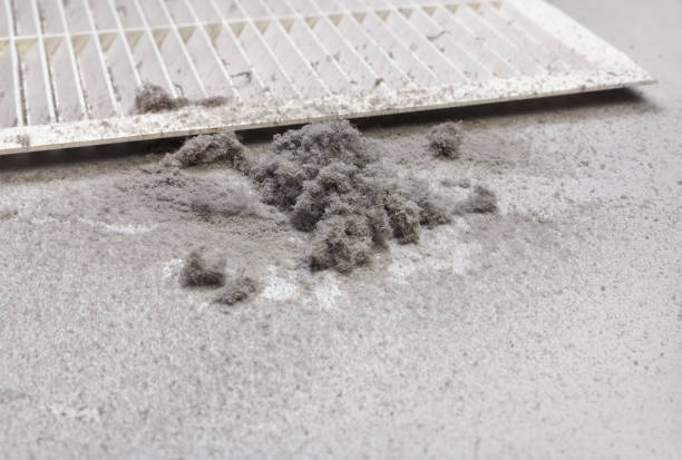 Best HVAC Duct Inspection Services  in South Sioux City, NE